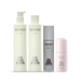 Core Collection Glazed Edition Rich