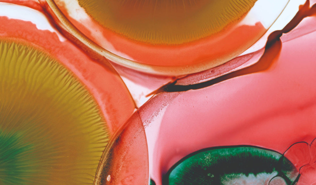 FERMENTEDFORMULATIONS