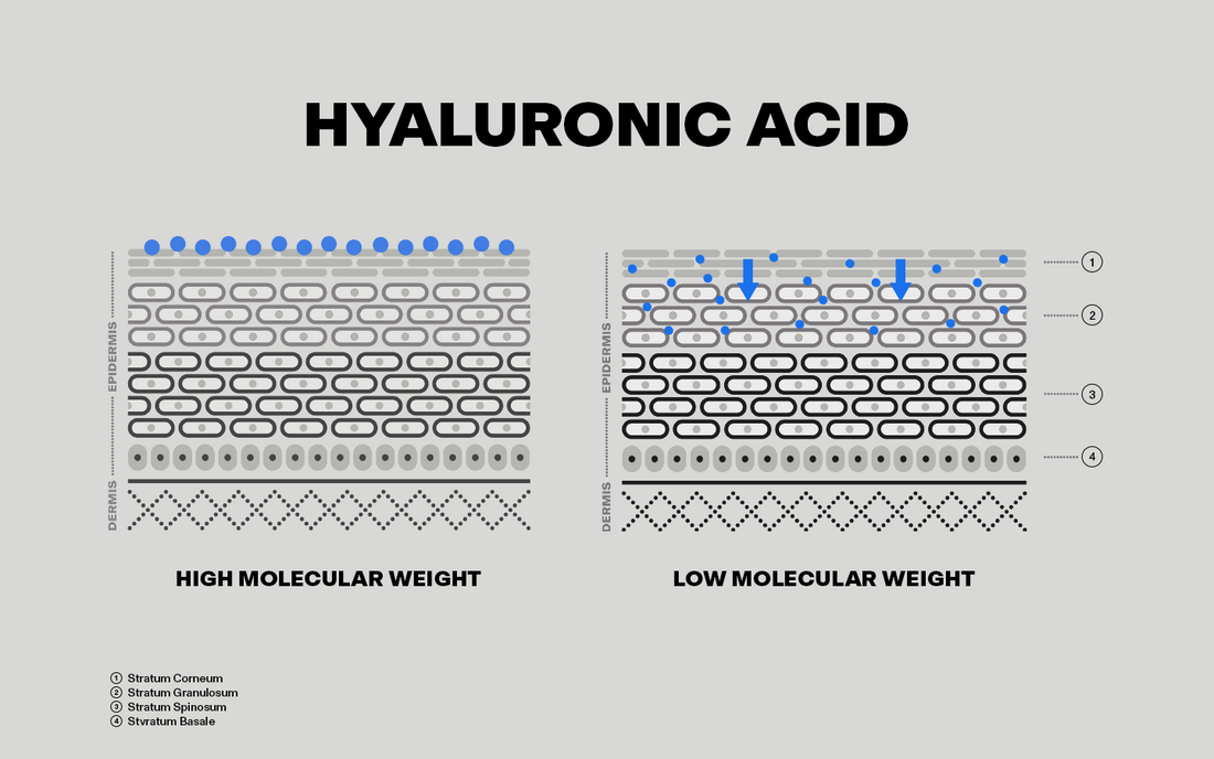 <p>HYALURONSÄURE IN DER SKINCARE-ROUTINE</p>